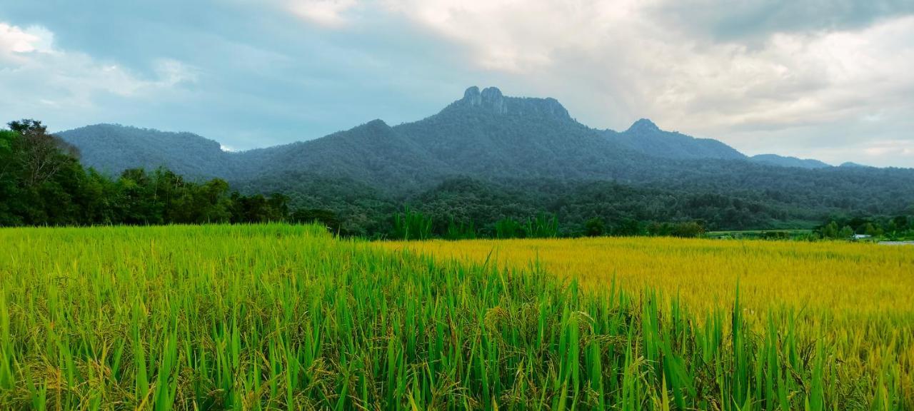 Willa Pimpisa Garden พิมพิศา การ์เด้นท์ Khuang Kom Zewnętrze zdjęcie